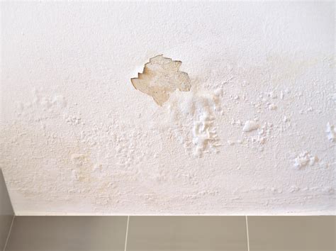 water damaged drywall|Drywall Repair After Water Damage: How to Fix It